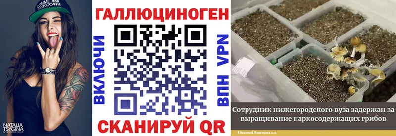 Псилоцибиновые грибы Psilocybine cubensis Купить Красноярск